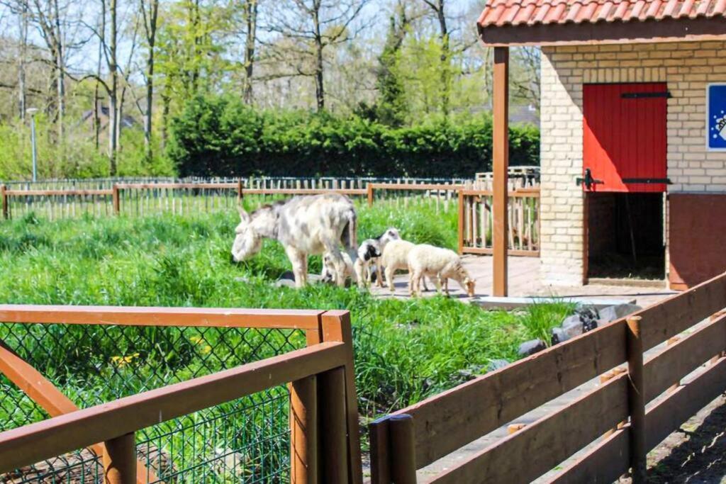 Tof Wellness Huis, Alles Nieuw, Gelegen Bij Meer. Ewijk Esterno foto